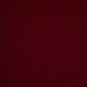 Meet your Posher, Anusha